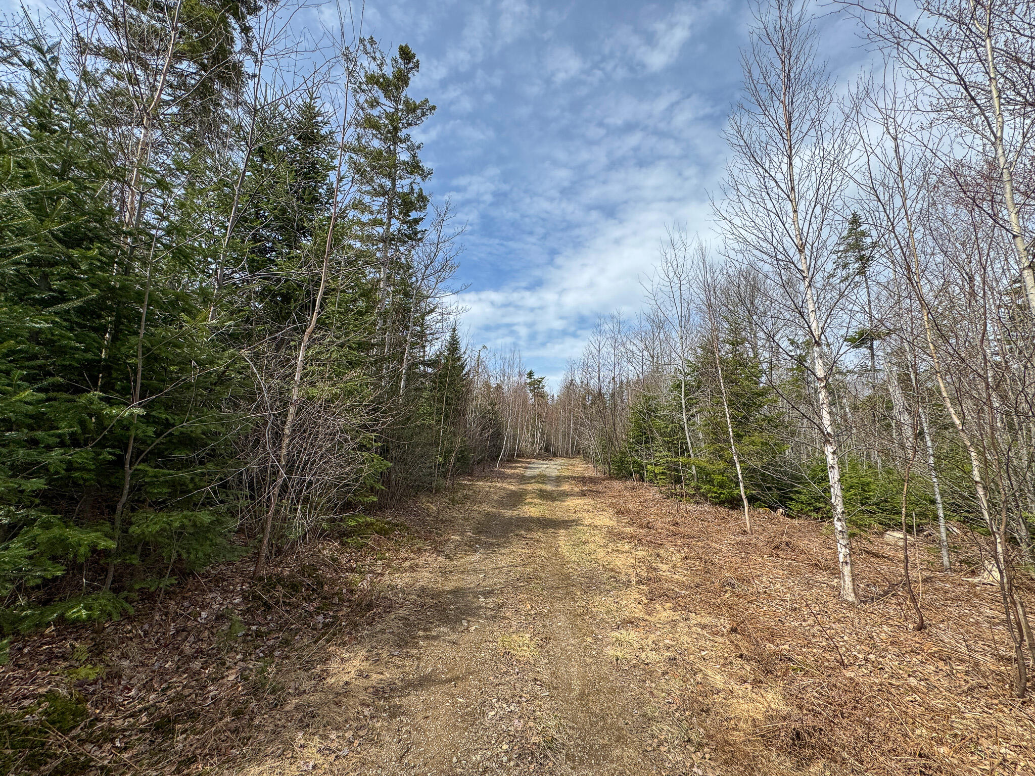 242 Bottle Lake Road Springfield ME 04487