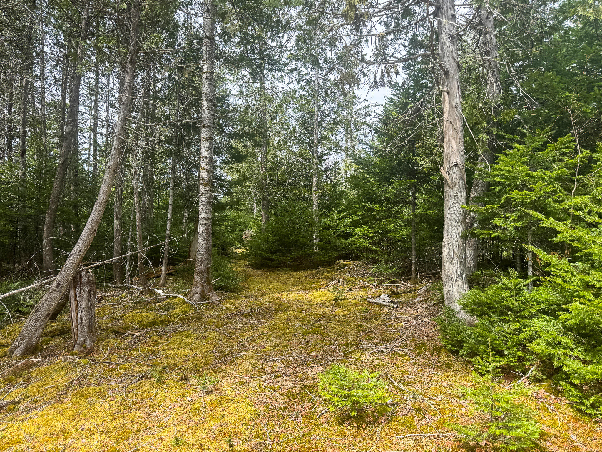 242 Bottle Lake Road Springfield ME 04487