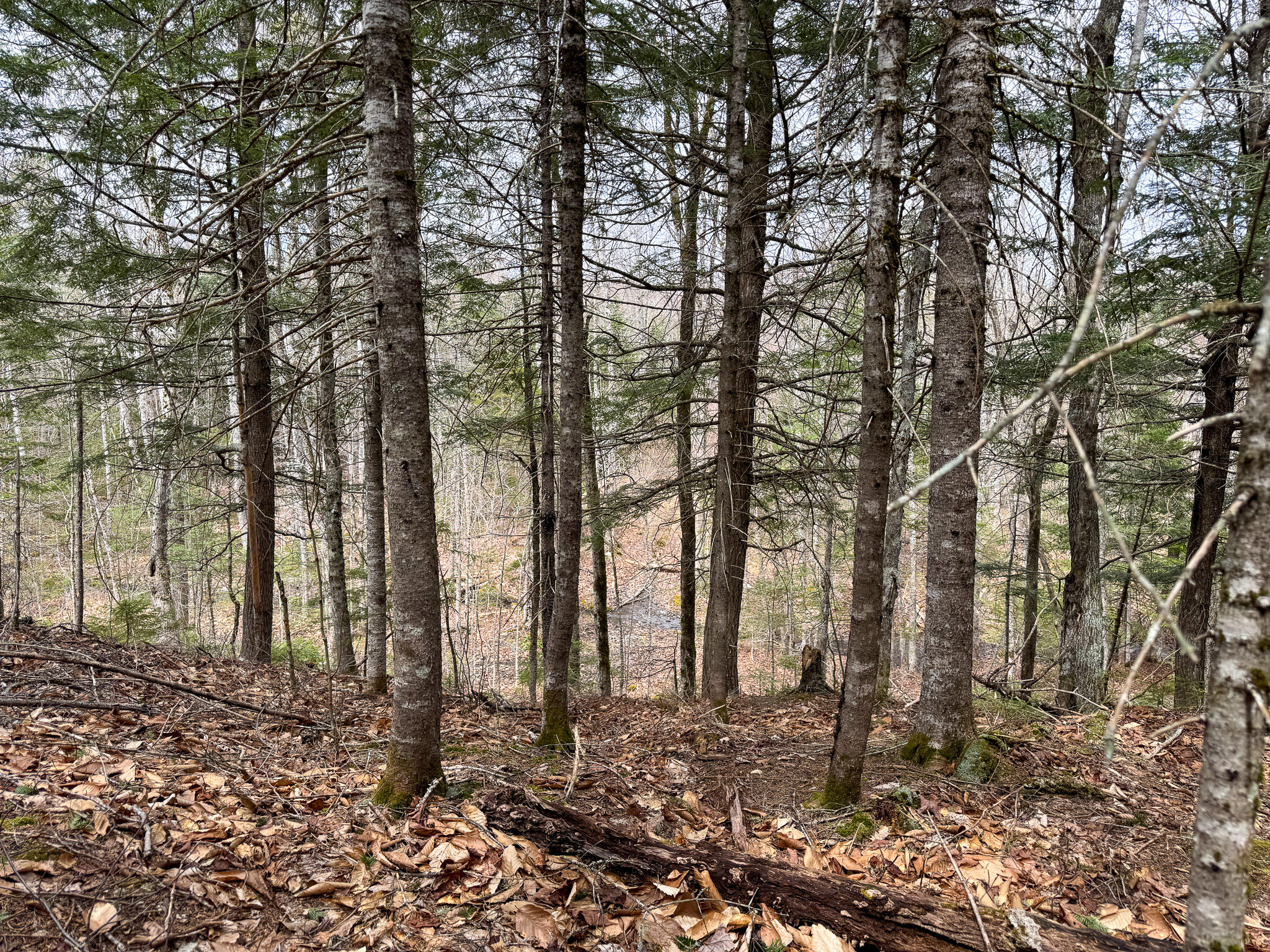242 Bottle Lake Road Springfield ME 04487