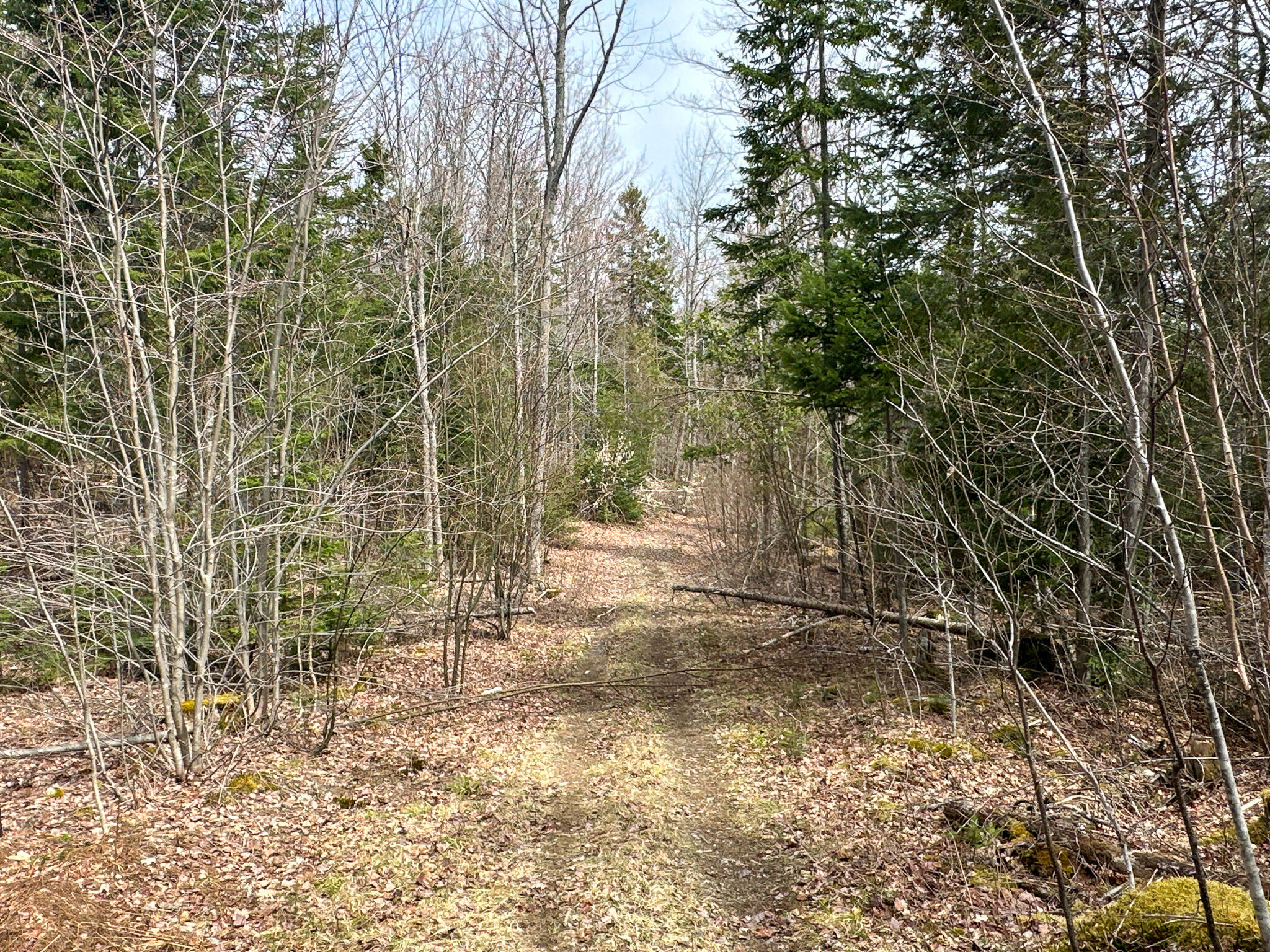 242 Bottle Lake Road Springfield ME 04487