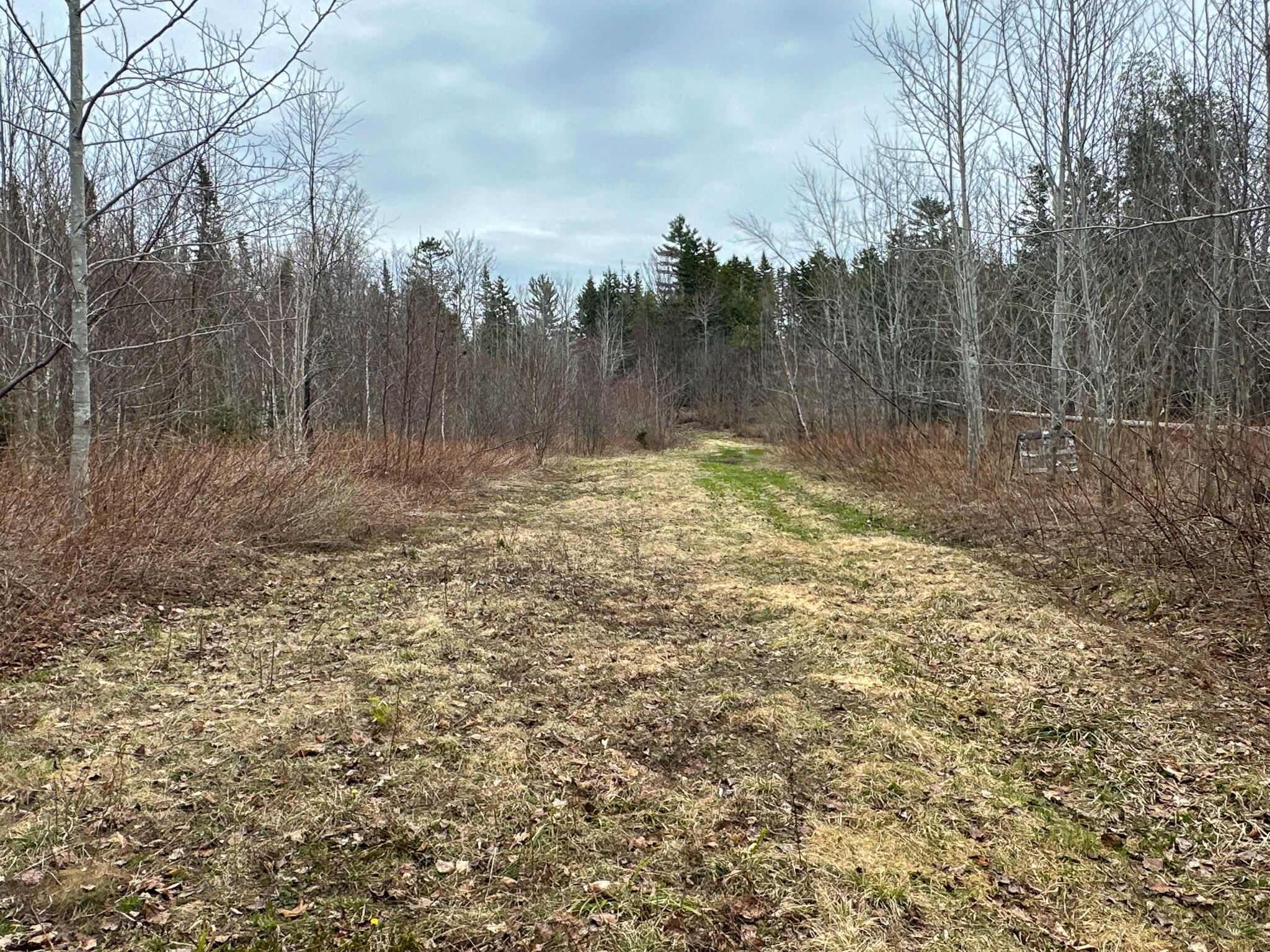 242 Bottle Lake Road Springfield ME 04487