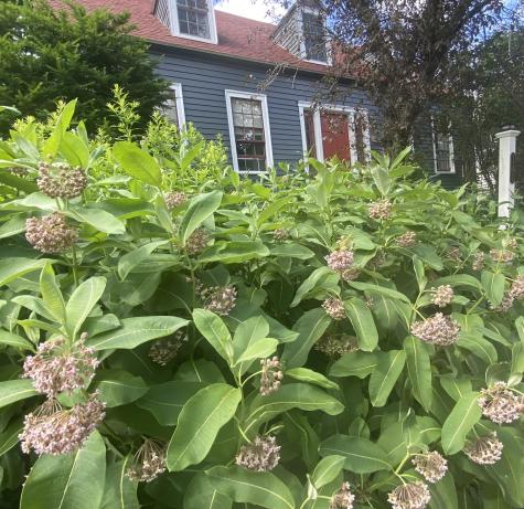 141 Centre Street Bath ME 04530