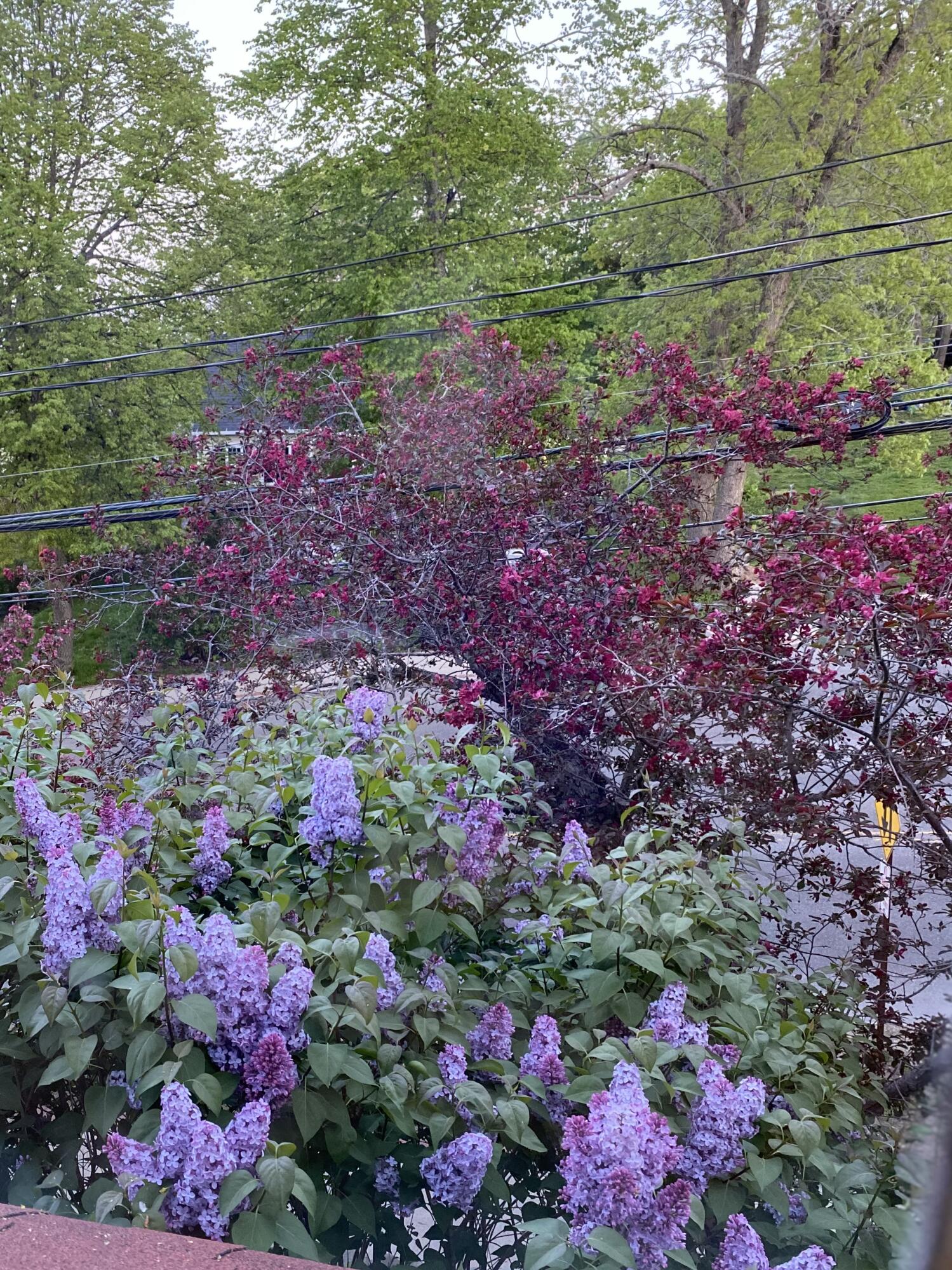 141 Centre Street Bath ME 04530