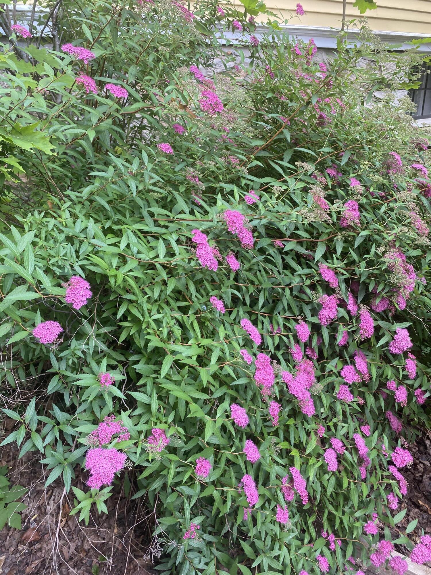 141 Centre Street Bath ME 04530