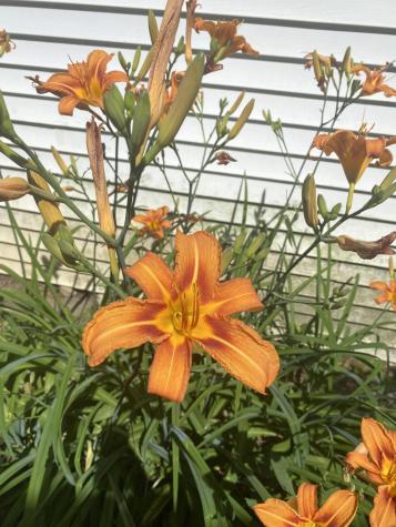 141 Centre Street Bath ME 04530