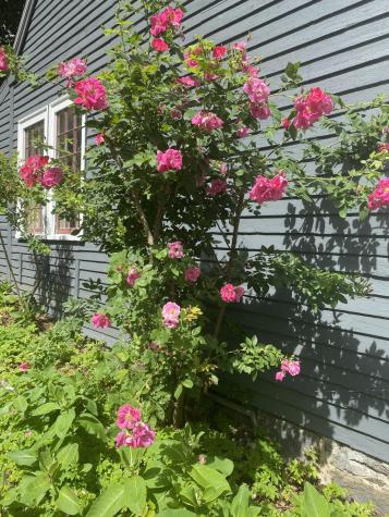 141 Centre Street Bath ME 04530