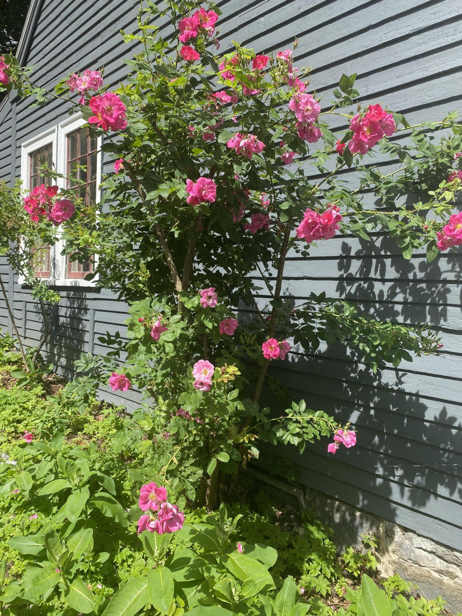 141 Centre Street Bath ME 04530