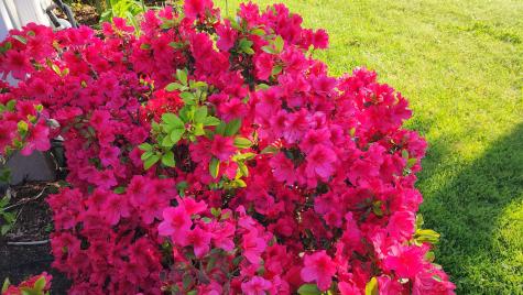 18 Riverview Road Bath ME 04530