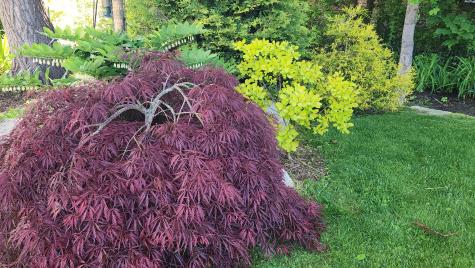 18 Riverview Road Bath ME 04530