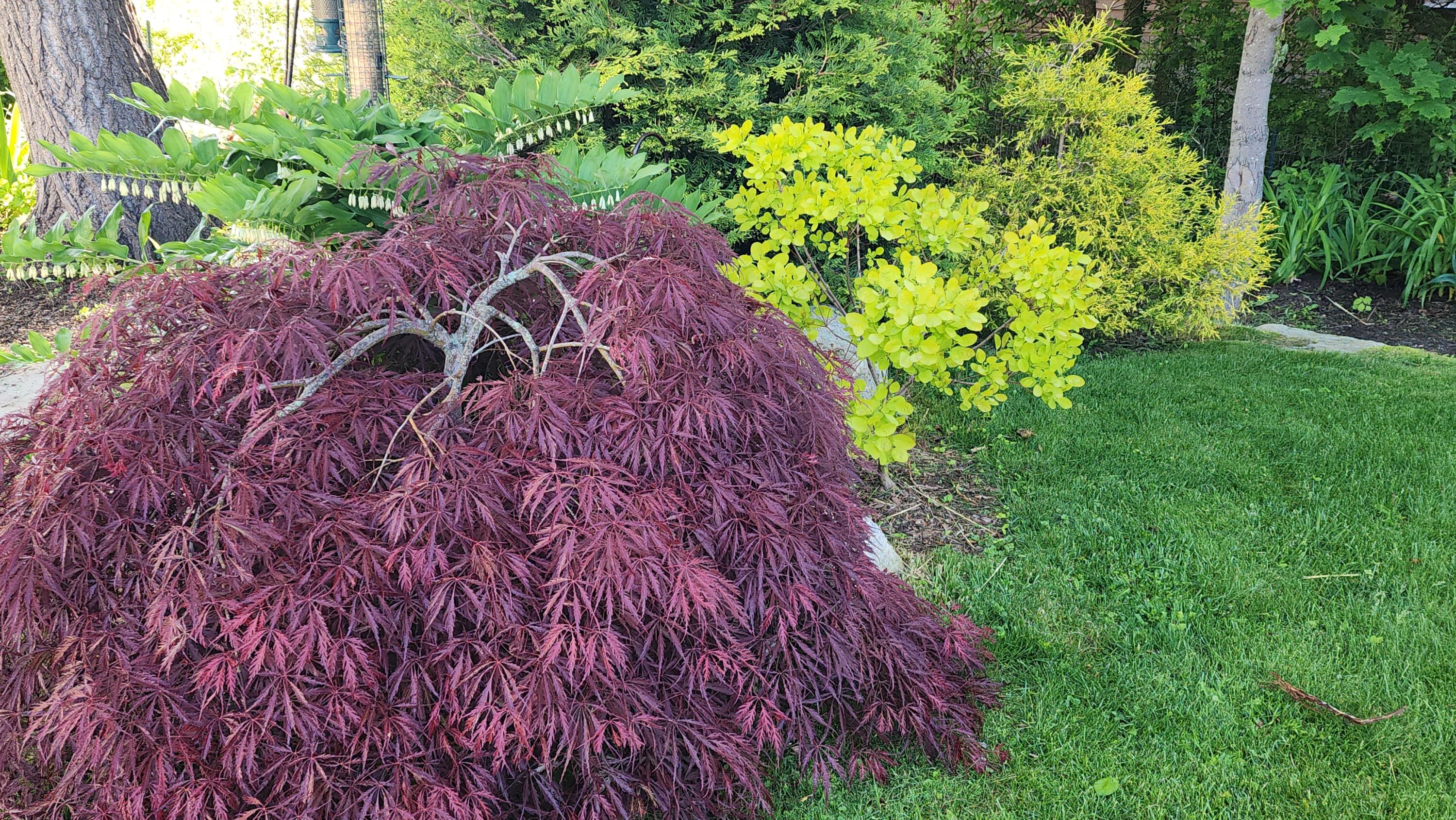 18 Riverview Road Bath ME 04530