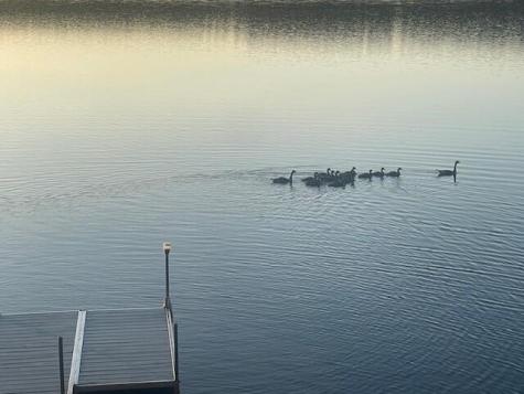 33 Gerber Lane Monmouth ME 04259