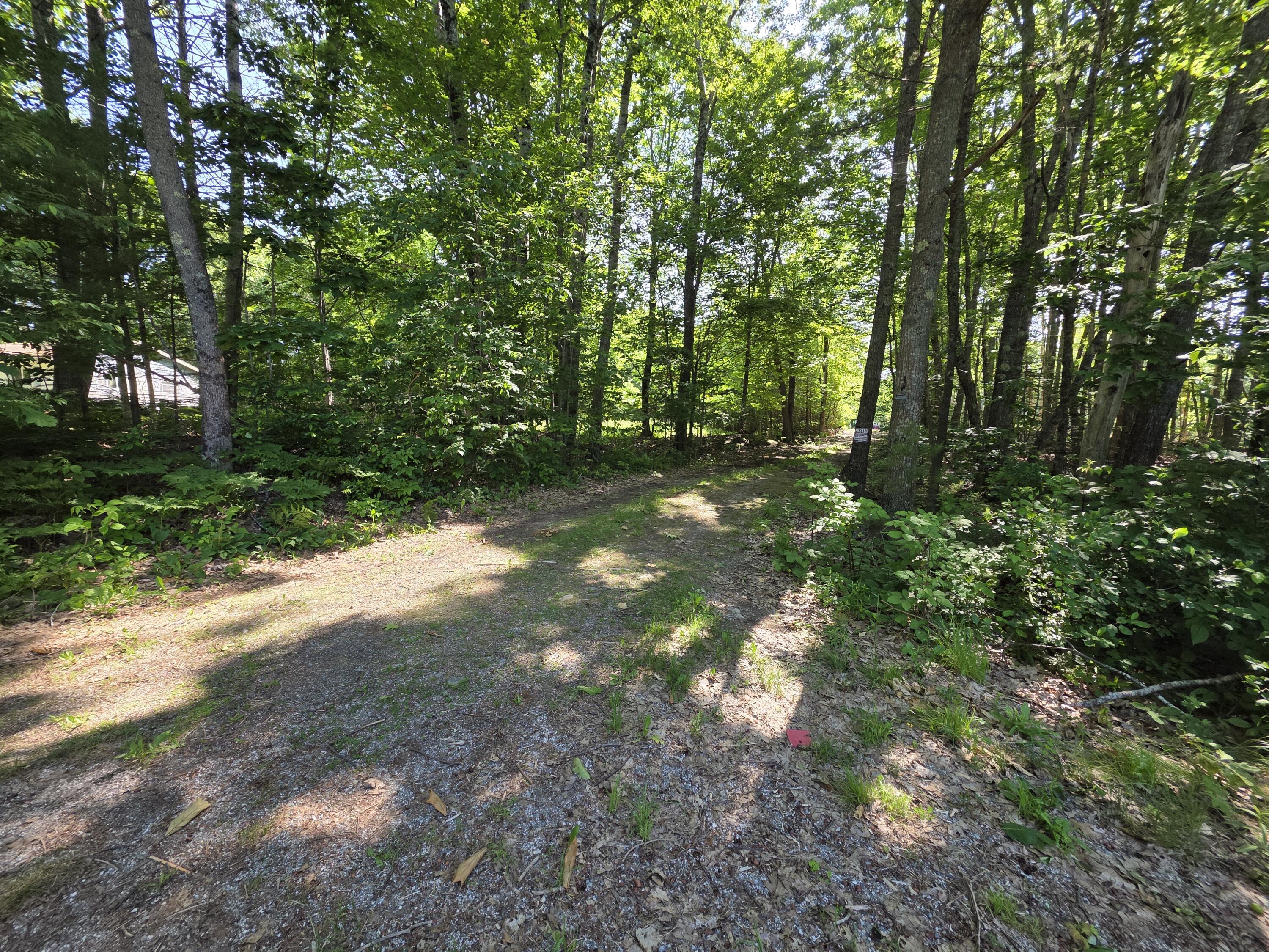 54 Gross Point Road Orland ME 04472