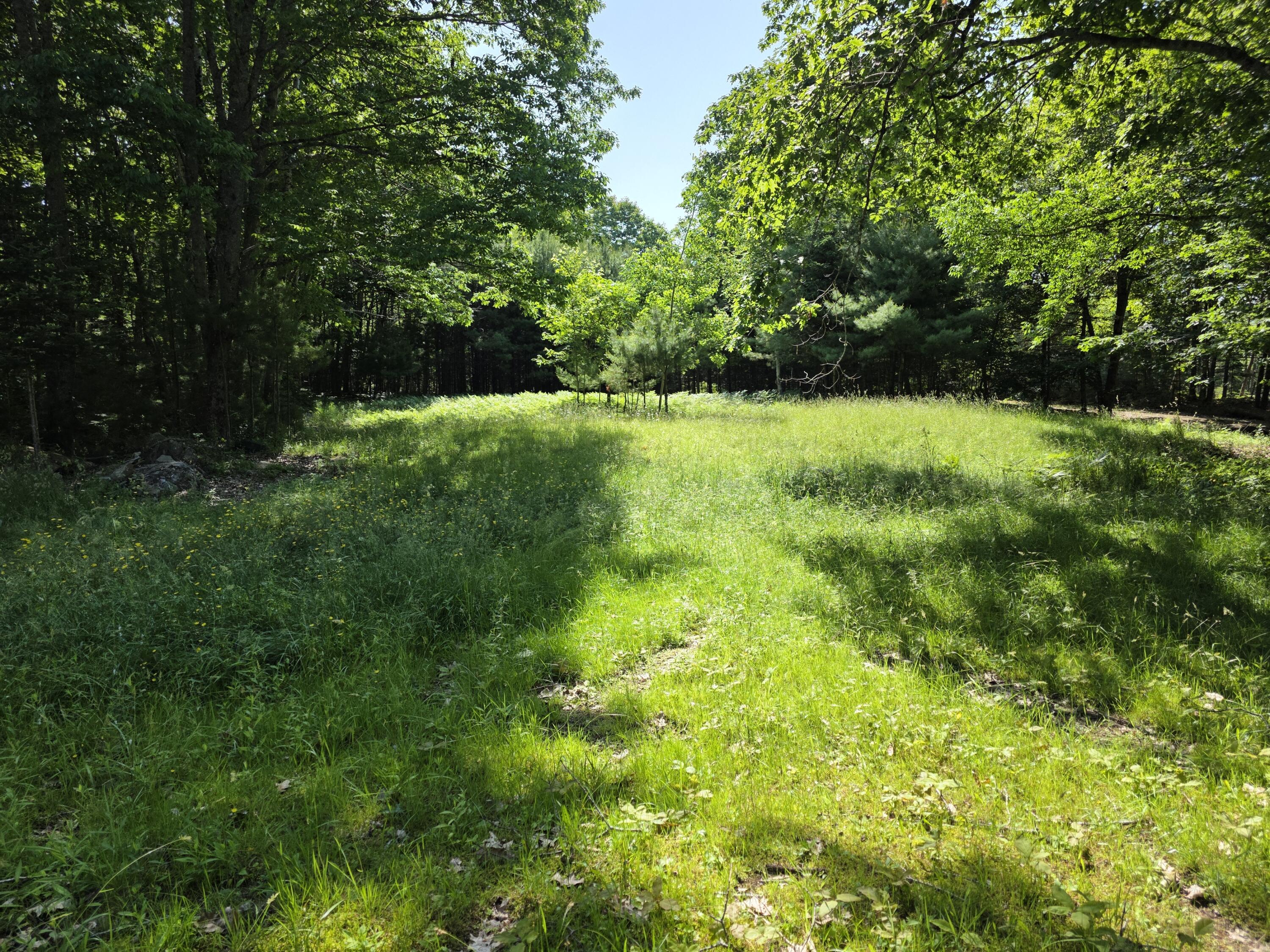 54 Gross Point Road Orland ME 04472