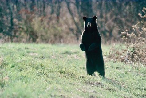 1 Cecelias Way Lubec ME 04652