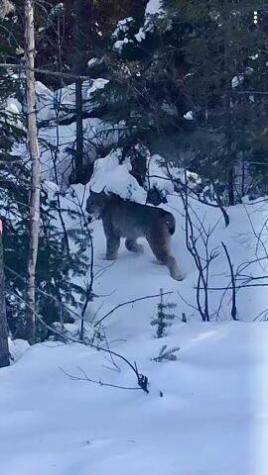 1 Cecelias Way Lubec ME 04652