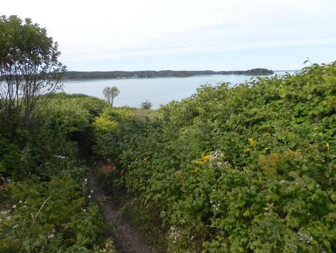 225 County Road Lubec ME 04652