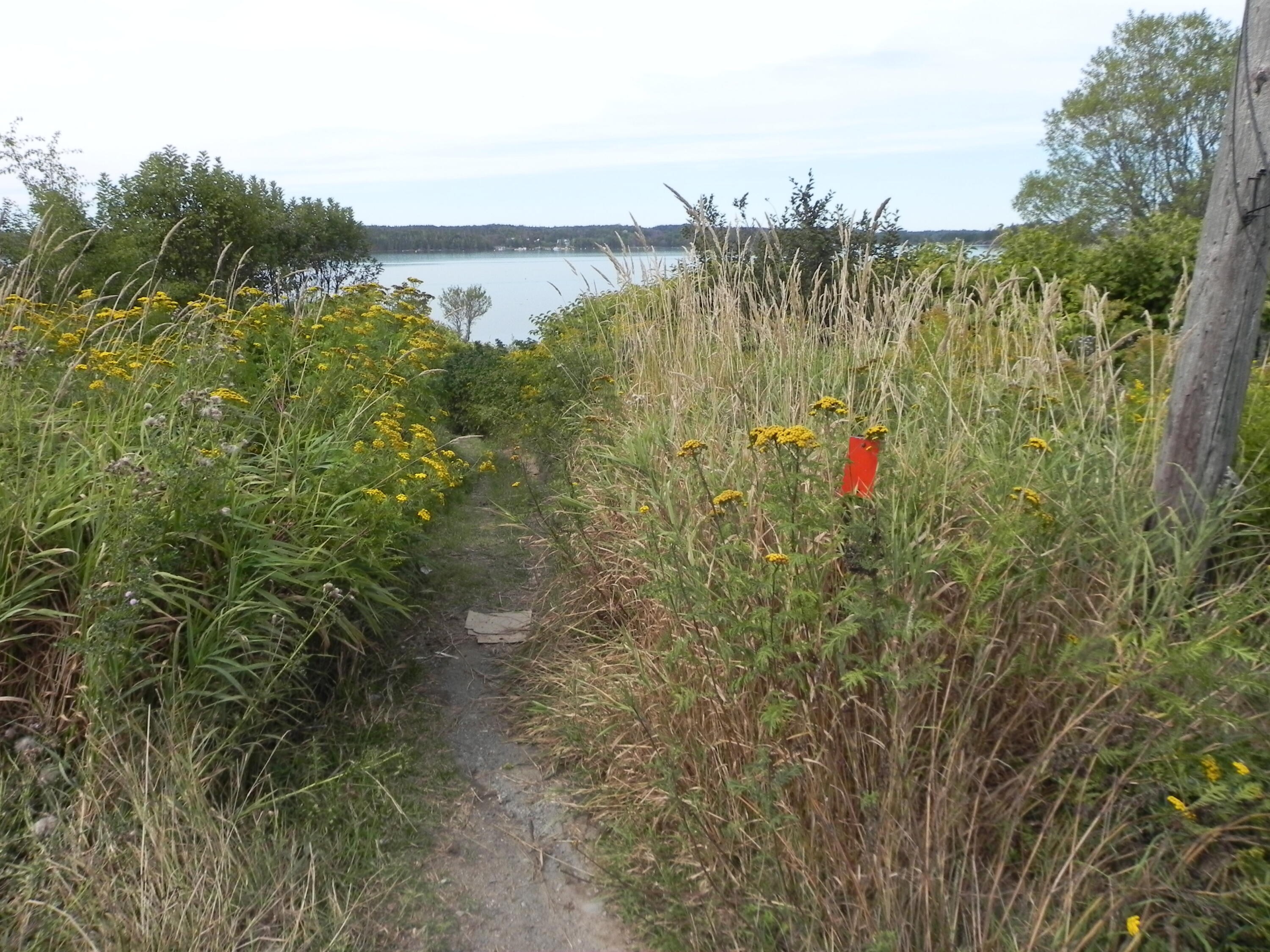 225 County Road Lubec ME 04652