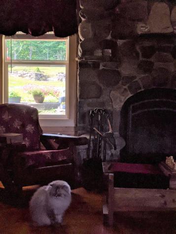 54 Peterson Road Bowerbank ME 04426