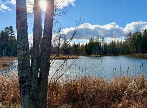 12 Morgan Road Pembroke ME 04666