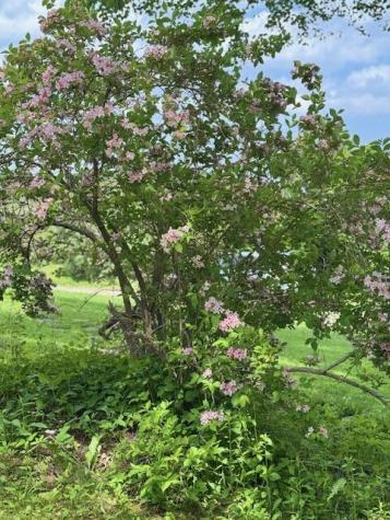 219 Talbot Avenue Rockland ME 04841