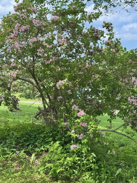 219 Talbot Avenue Rockland ME 04841