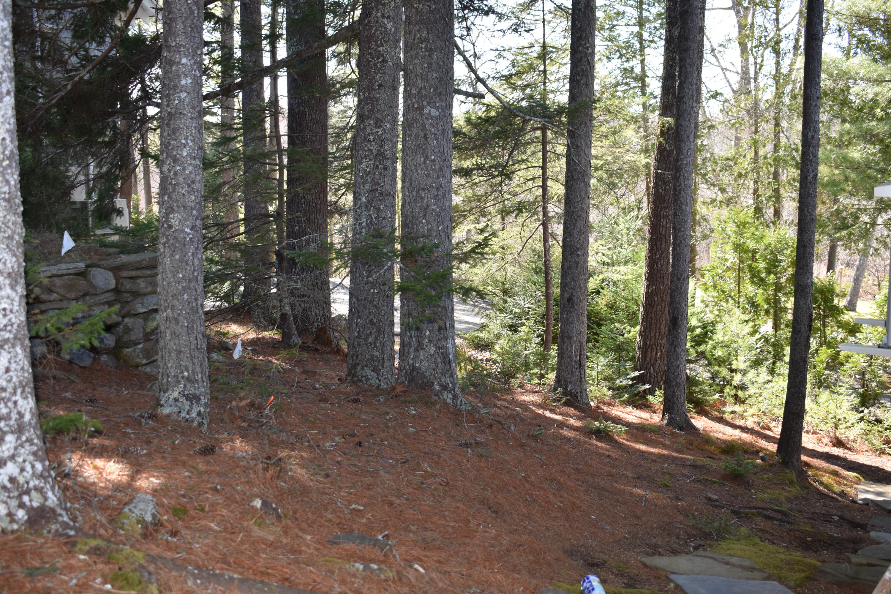 196 Hersey Retreat Road Stockton Springs ME 04981