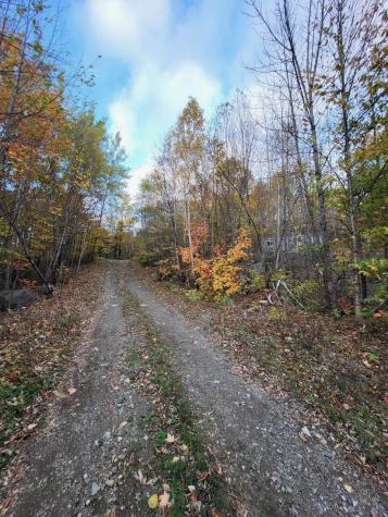 Lot 9 Moose Ridge Road Oakfield ME 04763
