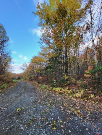Lot 9 Moose Ridge Road Oakfield ME 04763