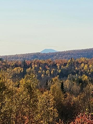 Lot 9 Moose Ridge Road Oakfield ME 04763