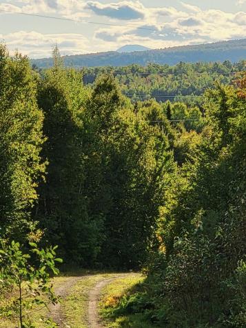 Lot 9 Moose Ridge Road Oakfield ME 04763