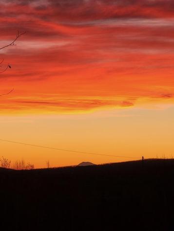 Lot 9 Moose Ridge Road Oakfield ME 04763