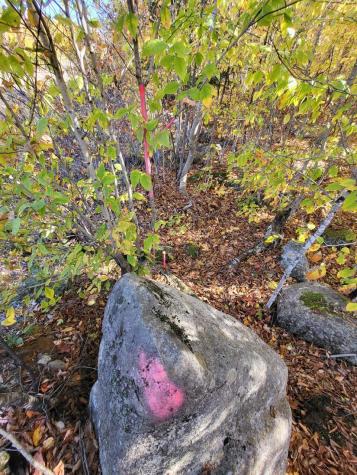 Lot 9 Moose Ridge Road Oakfield ME 04763