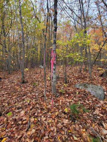 Lot 9 Moose Ridge Road Oakfield ME 04763