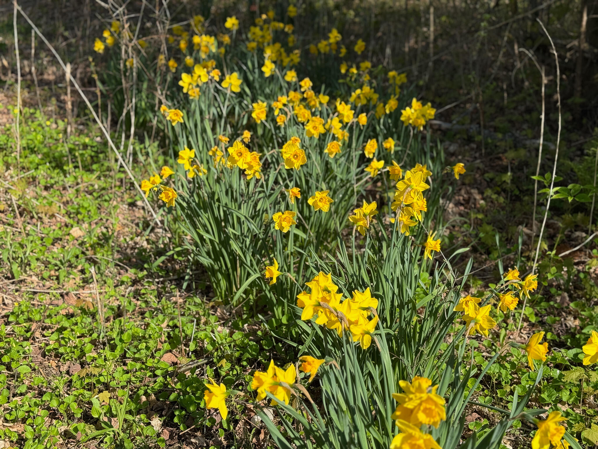 1230 Kenduskeag Avenue Bangor ME 04401