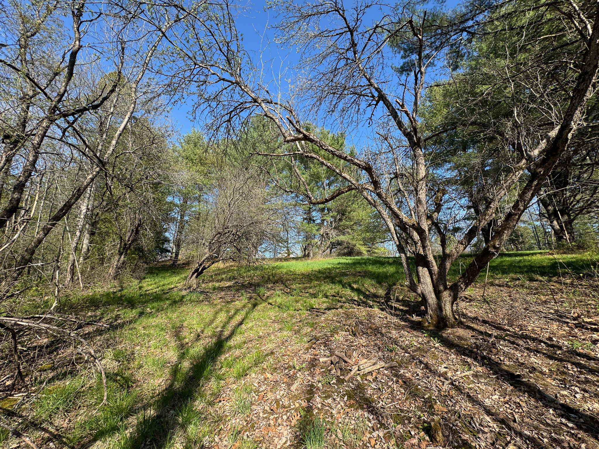 1230 Kenduskeag Avenue Bangor ME 04401