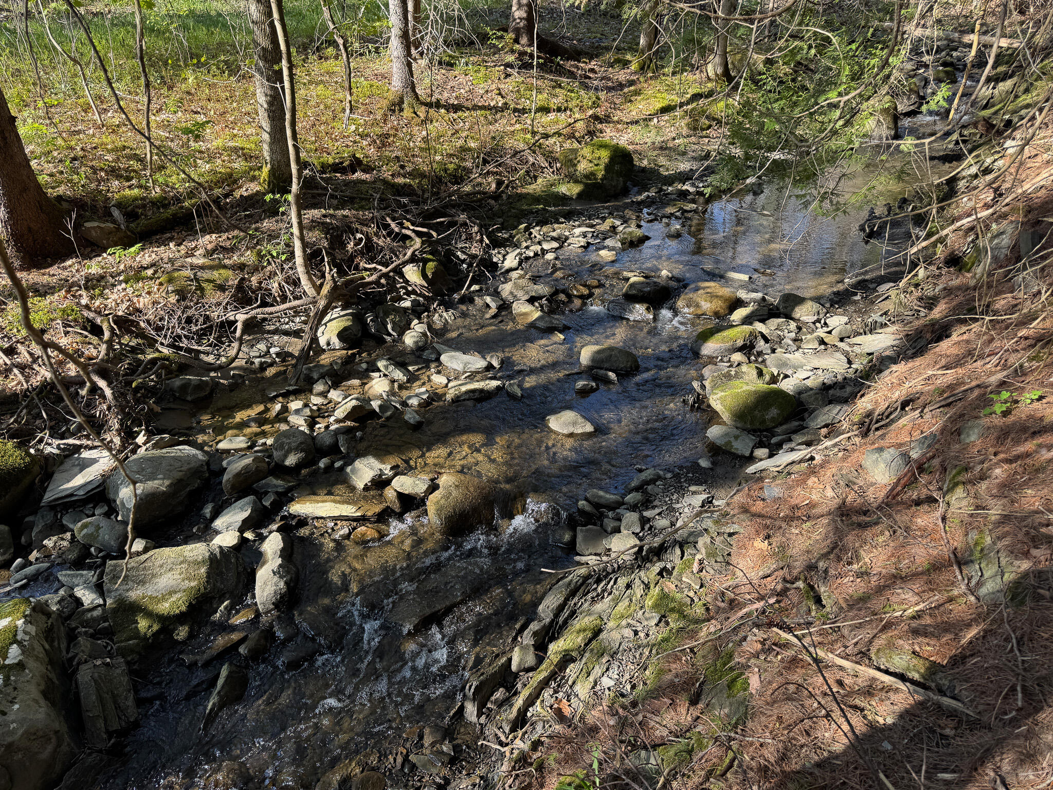 1230 Kenduskeag Avenue Bangor ME 04401