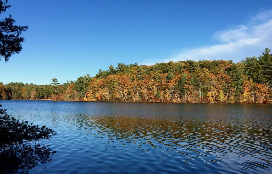 42 Emerson Drive Windham ME 04062