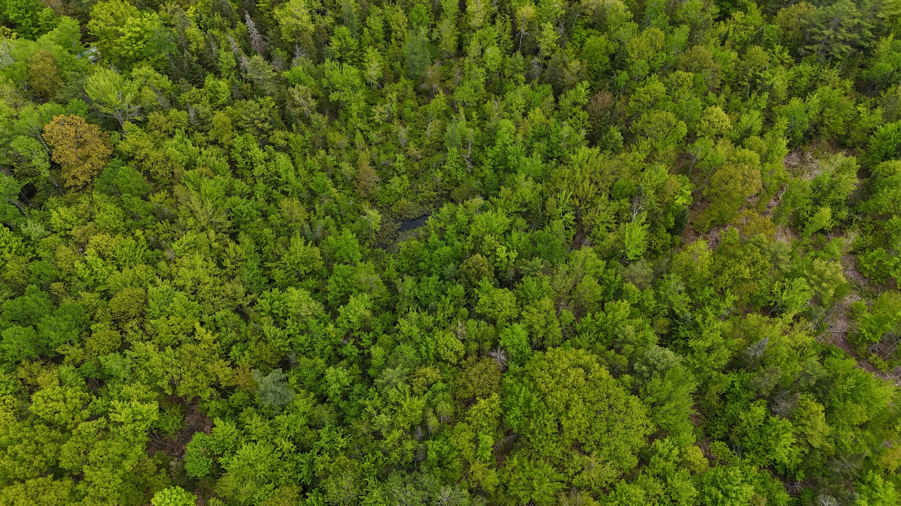 1816 Dexter Road Dover-foxcroft ME 04426