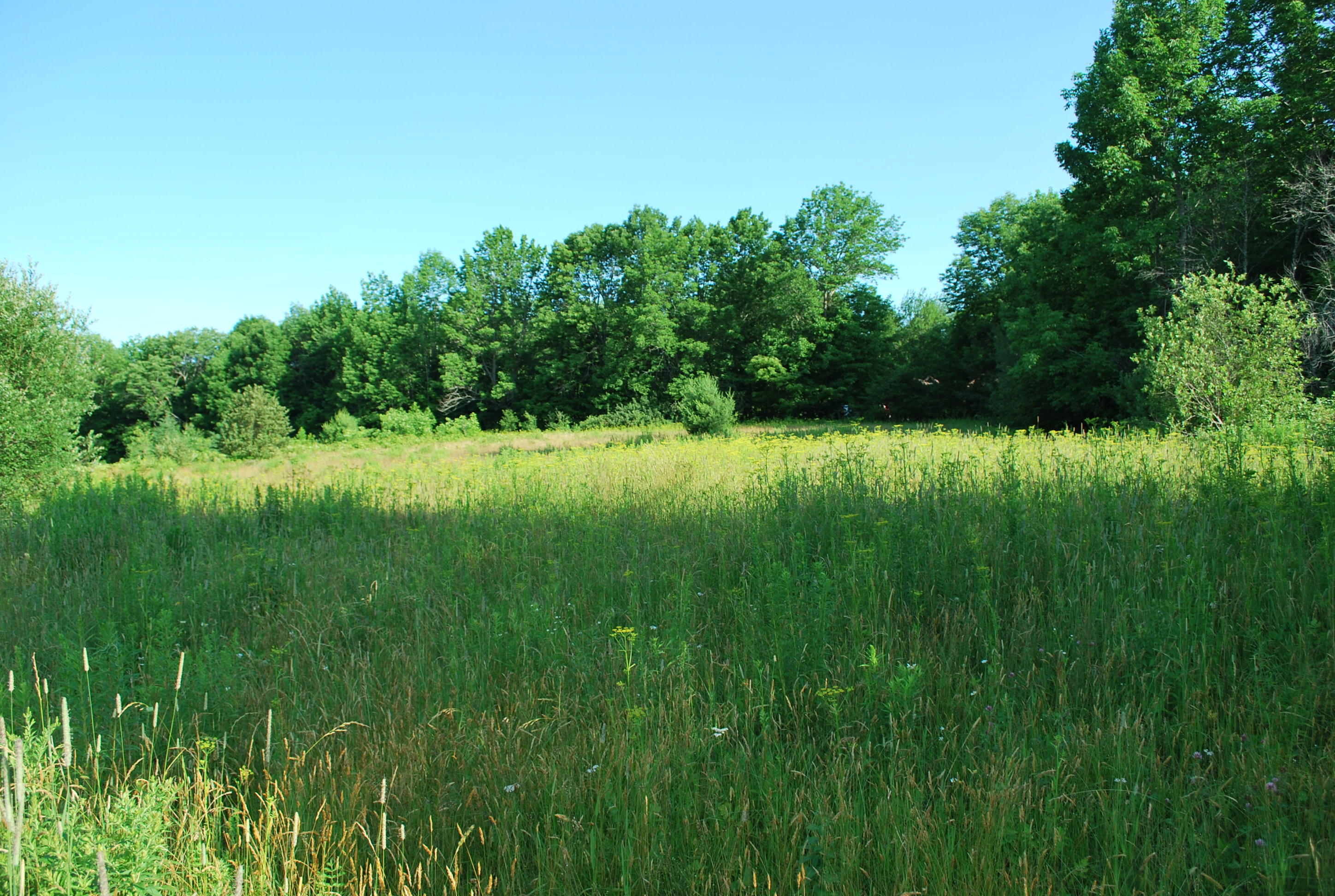 383 Wellington Road Parkman ME 04443
