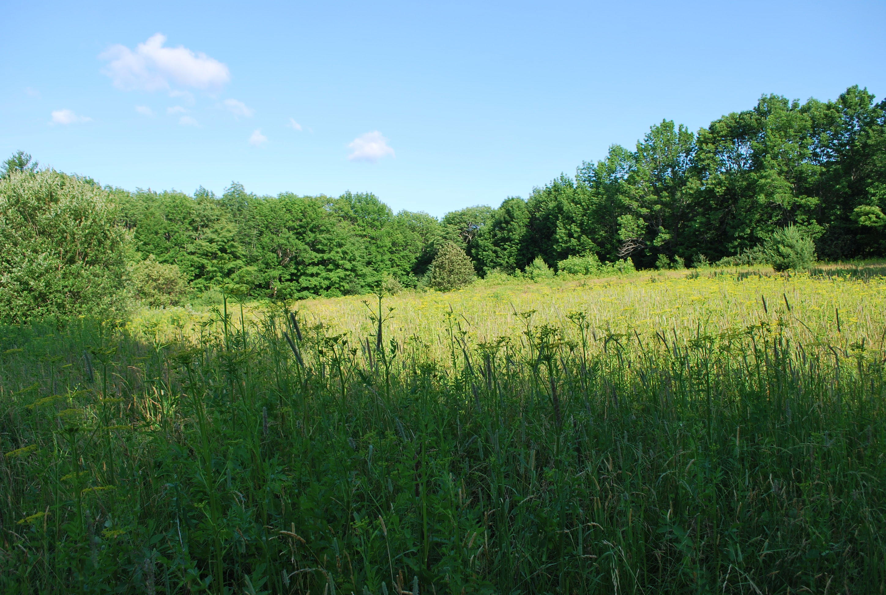 383 Wellington Road Parkman ME 04443