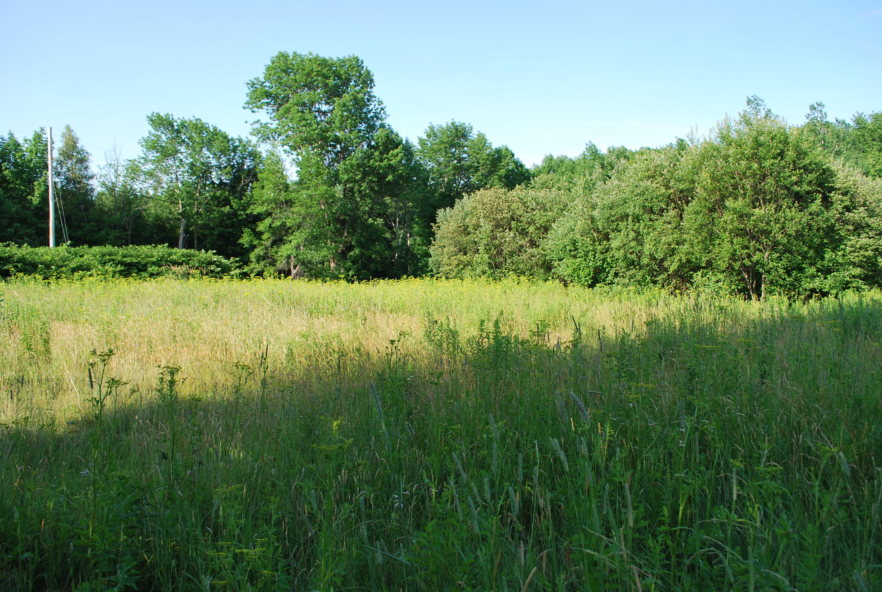 383 Wellington Road Parkman ME 04443