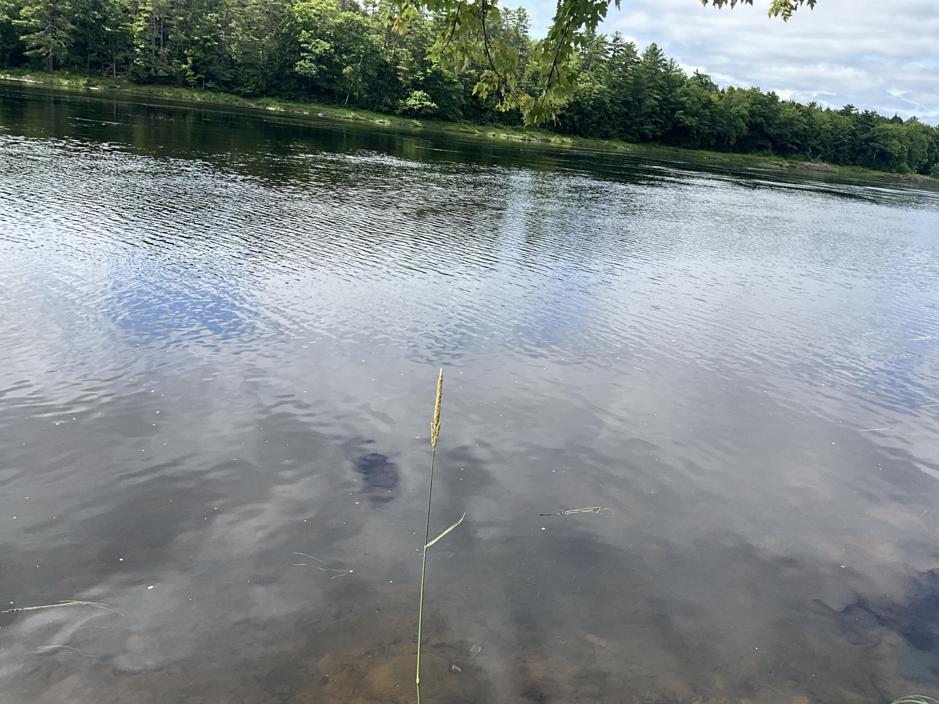 426 Main Road Milford ME 04461