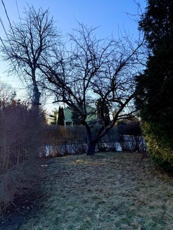 124 E Kidder Street Portland ME 04103