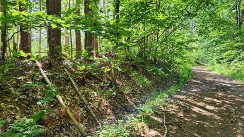 Lot 76 Flagg Road New Sharon ME 04955