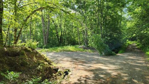 Lot 76 Flagg Road New Sharon ME 04955