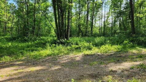 Lot 76 Flagg Road New Sharon ME 04955