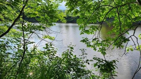 Lot 76 Flagg Road New Sharon ME 04955