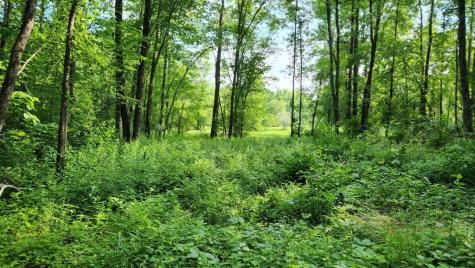 Lot 76 Flagg Road New Sharon ME 04955