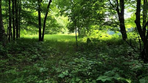 Lot 76 Flagg Road New Sharon ME 04955