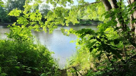 Lot 76 Flagg Road New Sharon ME 04955